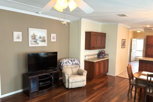 living room pic #4