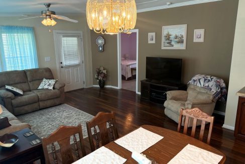 living room pic #5