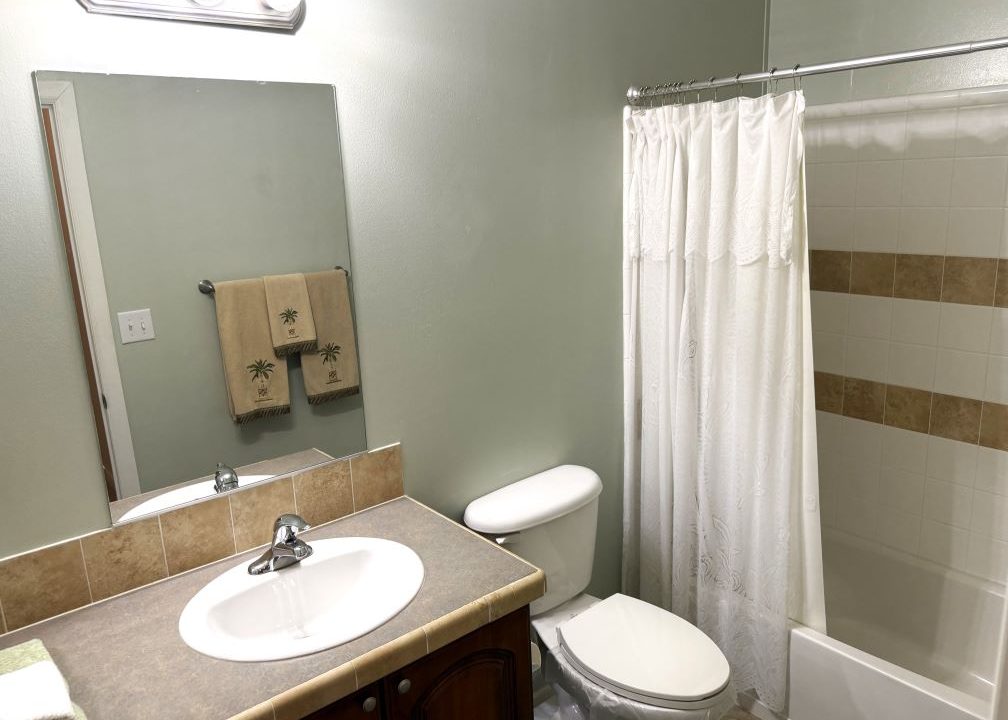 main bath pic