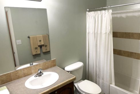 main bath pic