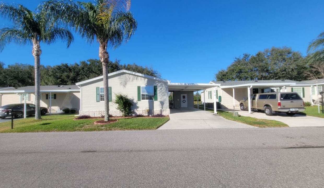 268 Monterey Cypress - sp02