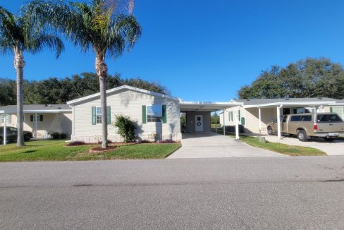 268 Monterey Cypress - sp02