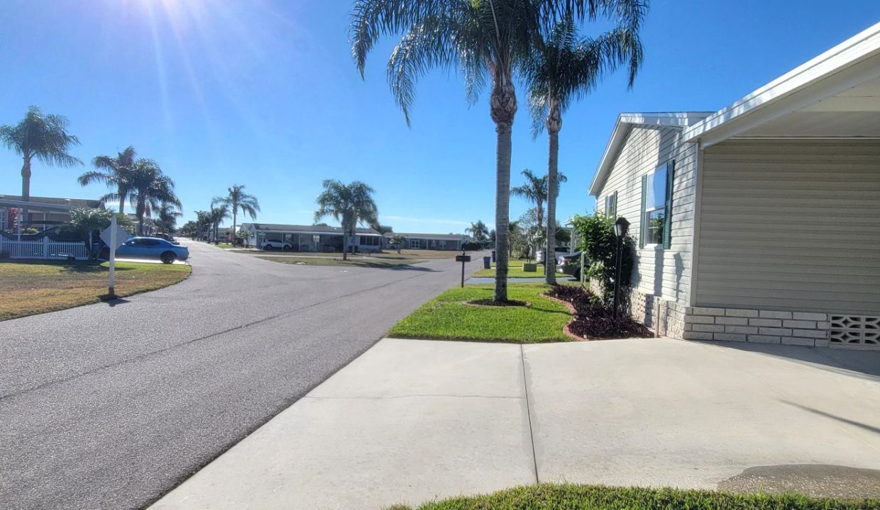 268 Monterey Cypress - sp03