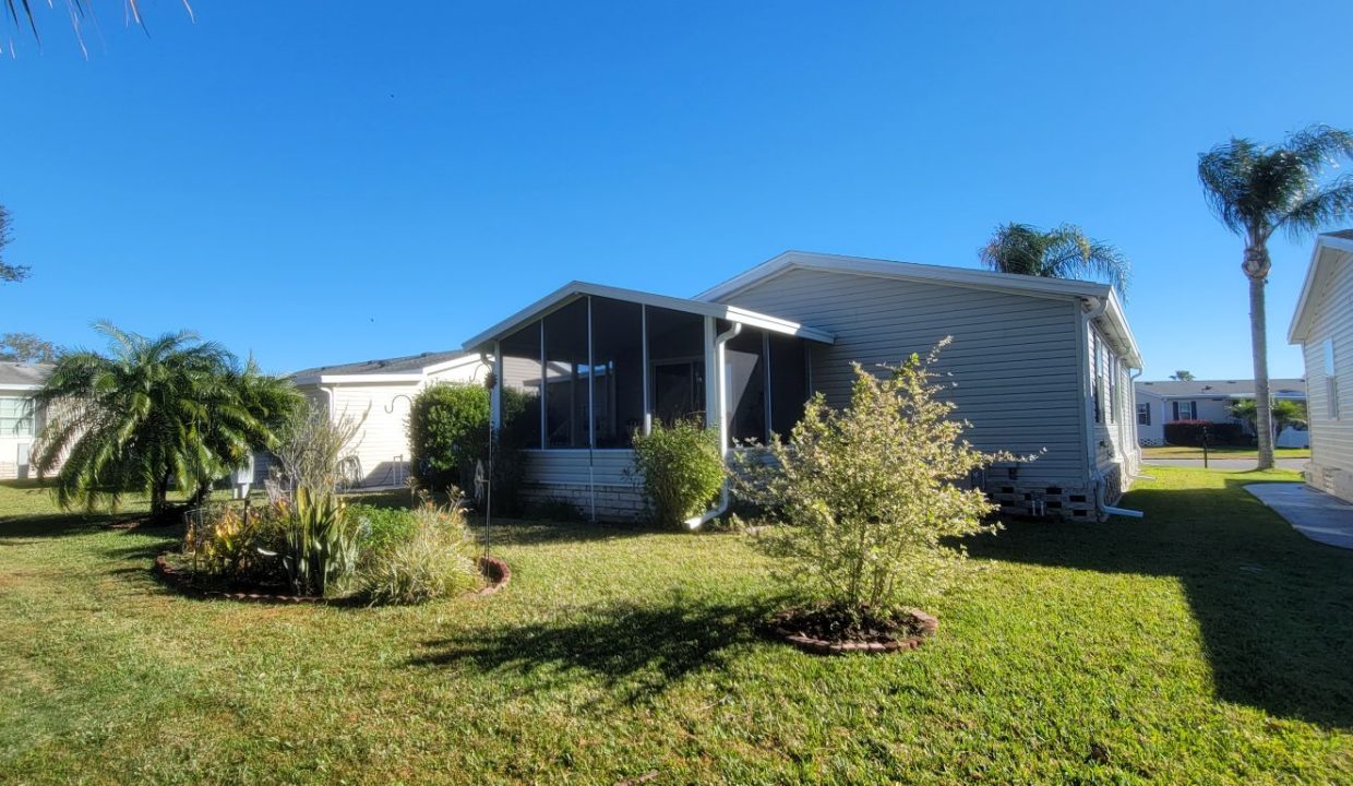 268 Monterey Cypress - sp06