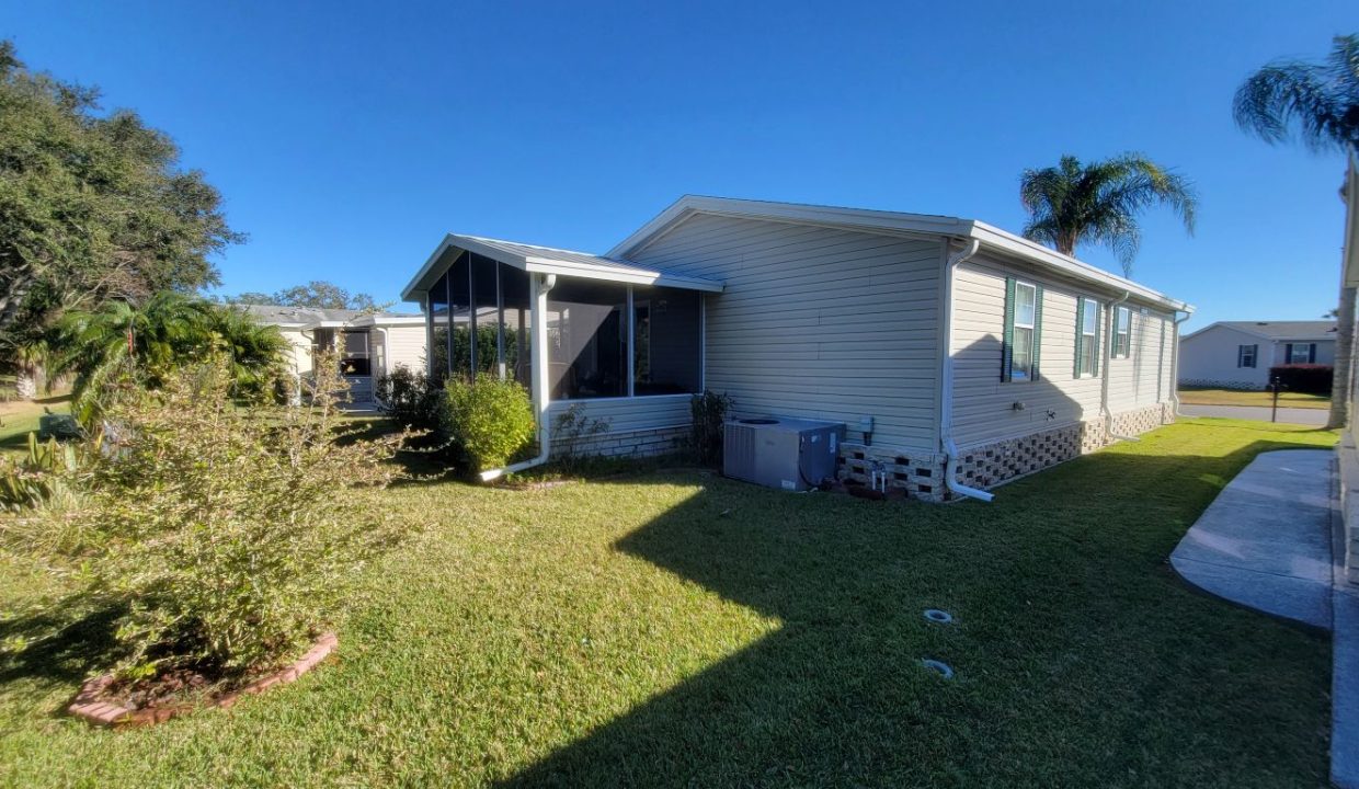 268 Monterey Cypress - sp07