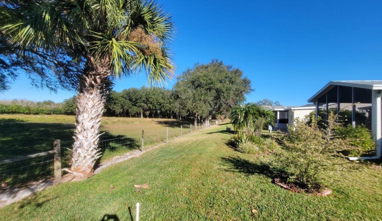 268 Monterey Cypress - sp08