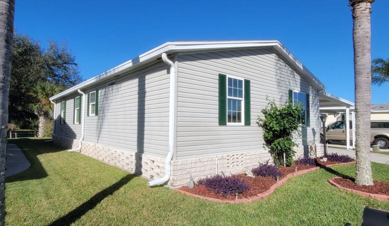 268 Monterey Cypress - sp10