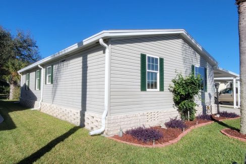 268 Monterey Cypress - sp10