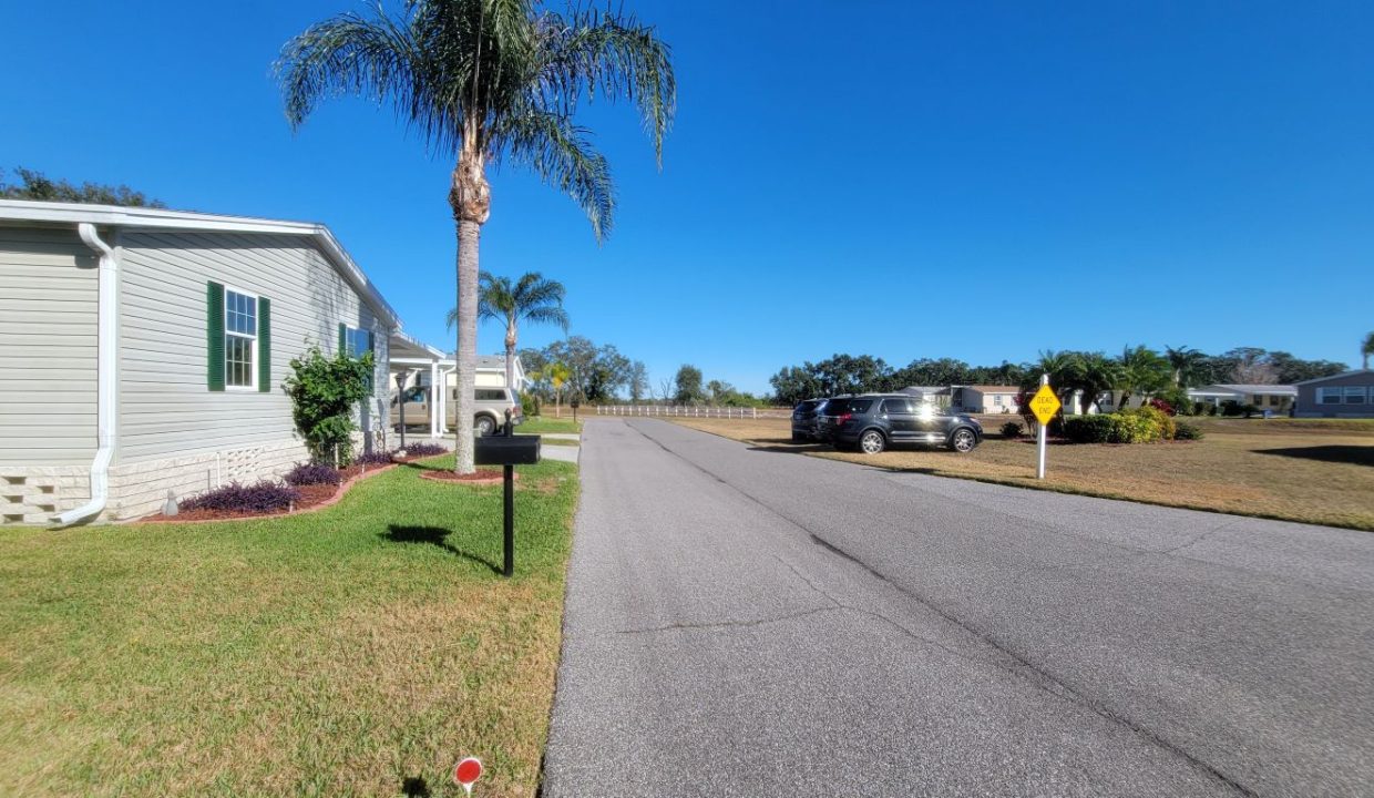268 Monterey Cypress - sp11