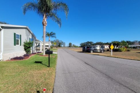 268 Monterey Cypress - sp11