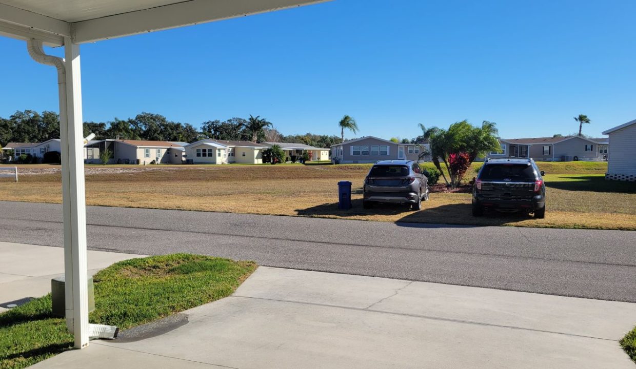 268 Monterey Cypress - sp12