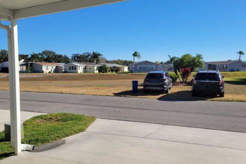 268 Monterey Cypress - sp12