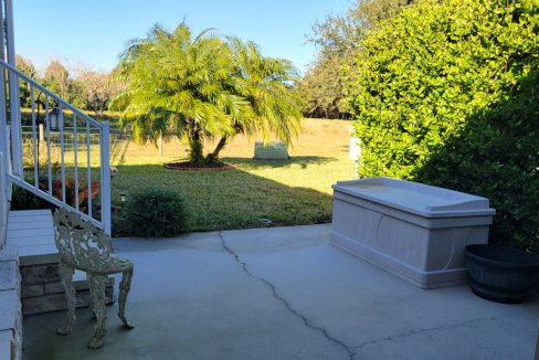 268 Monterey Cypress - sp14