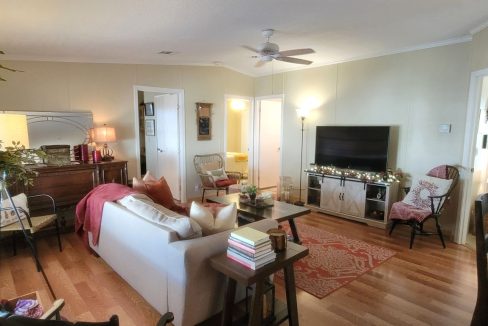268 Monterey Cypress - sp15