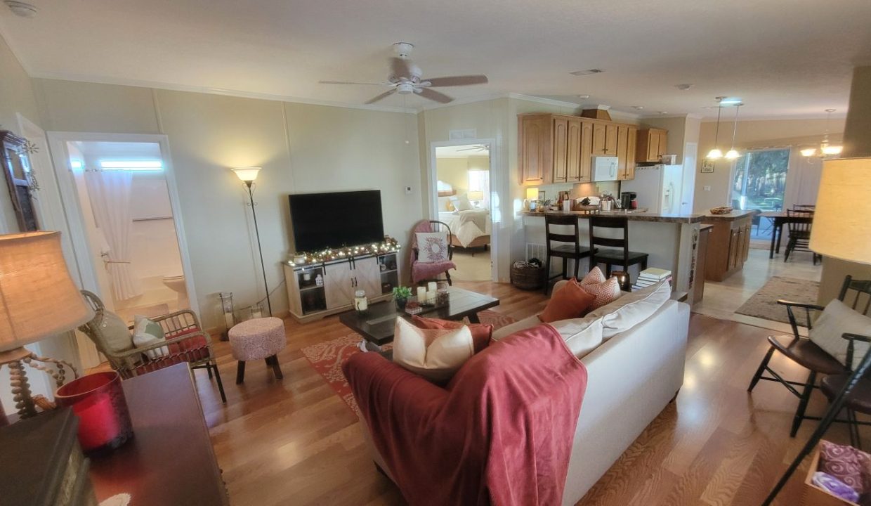 268 Monterey Cypress - sp16