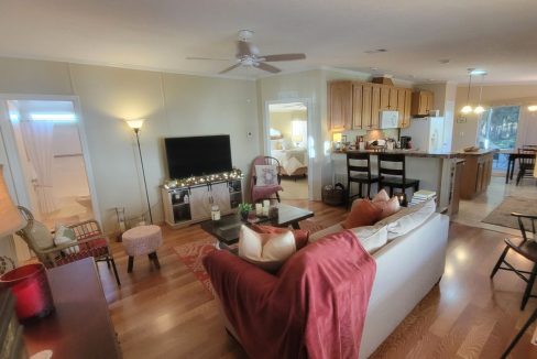 268 Monterey Cypress - sp16
