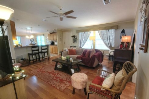 268 Monterey Cypress - sp17