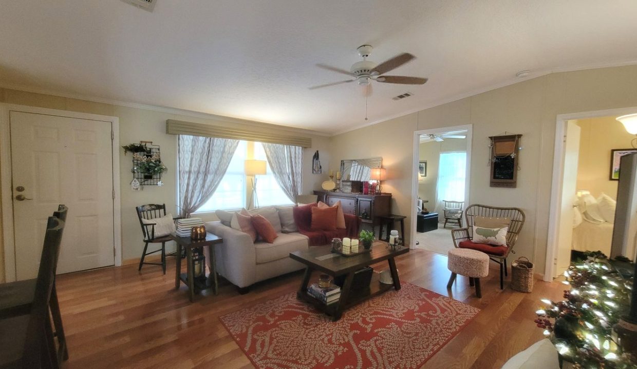 268 Monterey Cypress - sp18