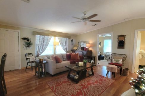 268 Monterey Cypress - sp18