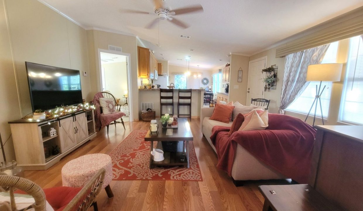 268 Monterey Cypress - sp19