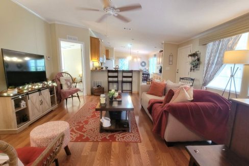 268 Monterey Cypress - sp19