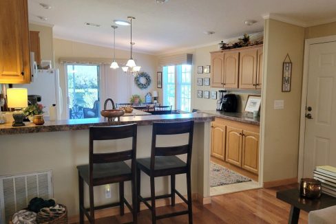 268 Monterey Cypress - sp20