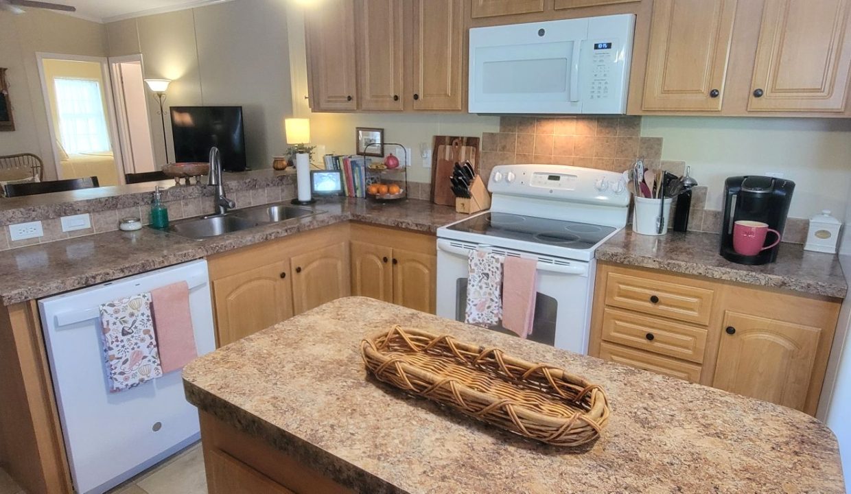 268 Monterey Cypress - sp22