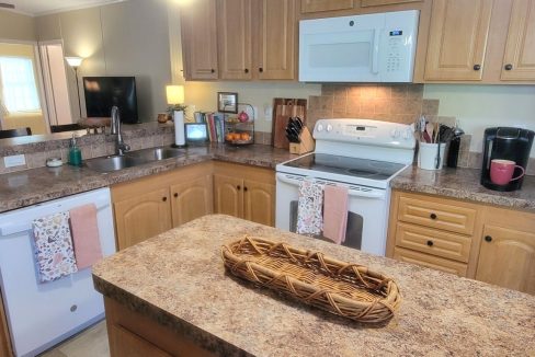 268 Monterey Cypress - sp22