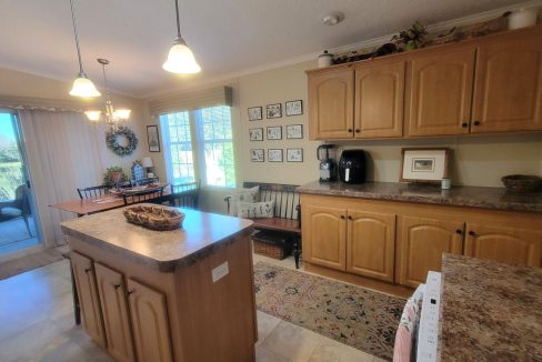 268 Monterey Cypress - sp23