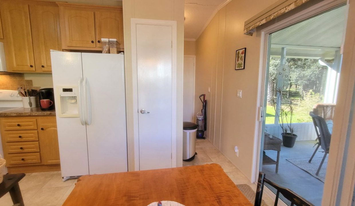 268 Monterey Cypress - sp25