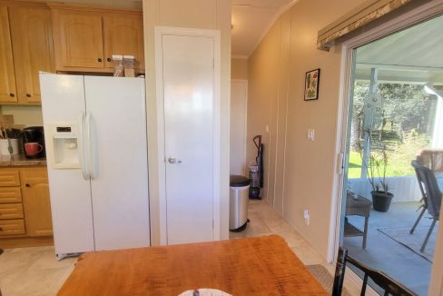 268 Monterey Cypress - sp25