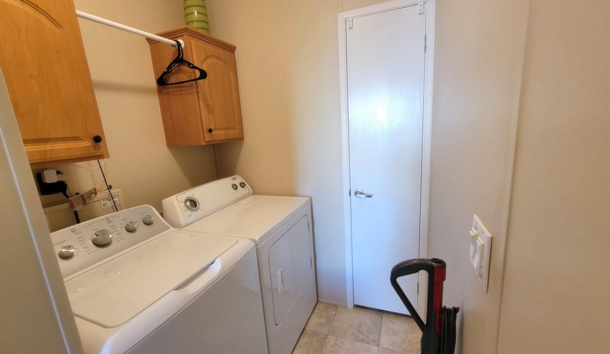 268 Monterey Cypress - sp26