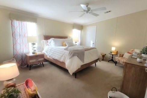 268 Monterey Cypress - sp29
