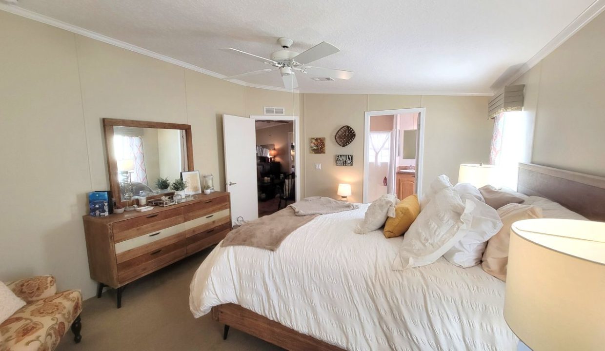 268 Monterey Cypress - sp30