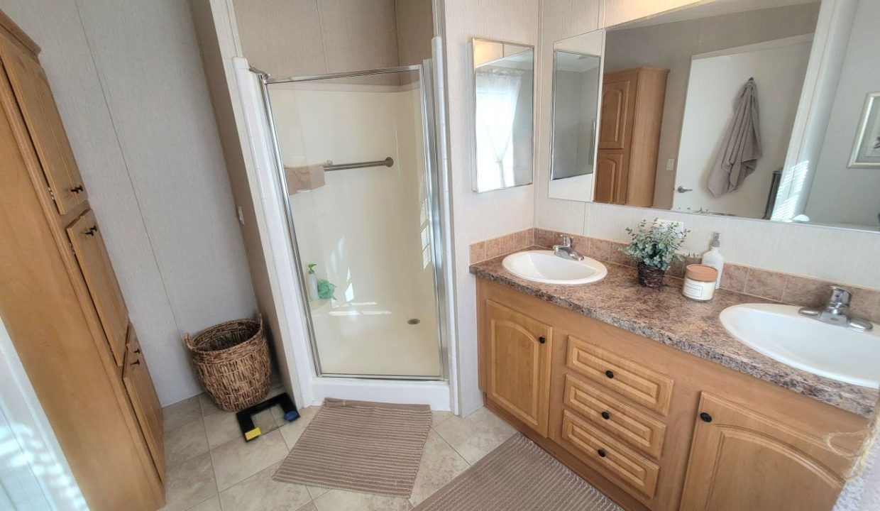 268 Monterey Cypress - sp32