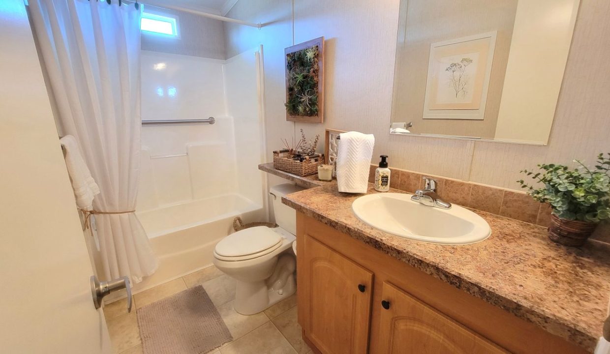 268 Monterey Cypress - sp33