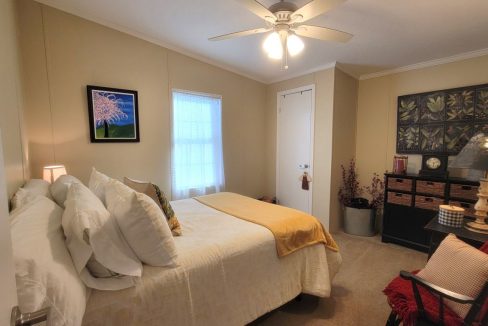 268 Monterey Cypress - sp34