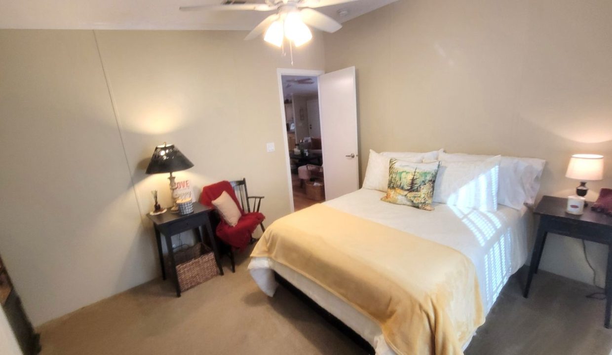 268 Monterey Cypress - sp35
