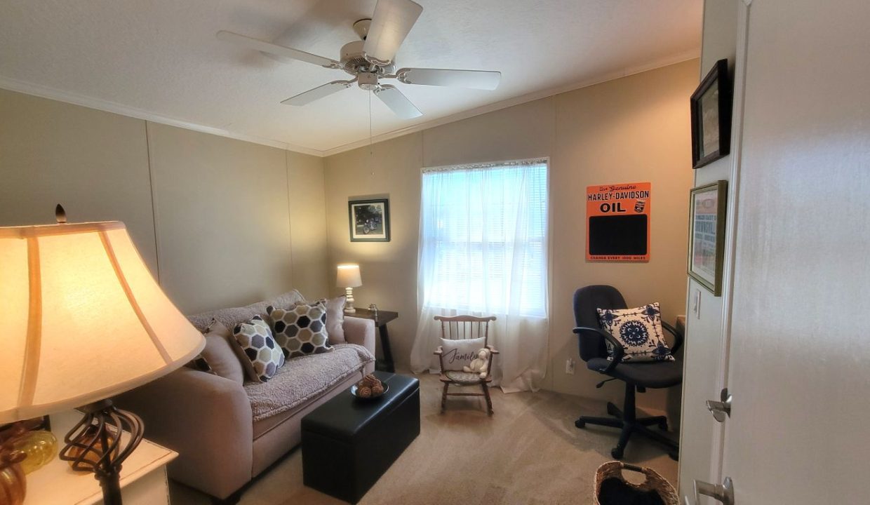 268 Monterey Cypress - sp36