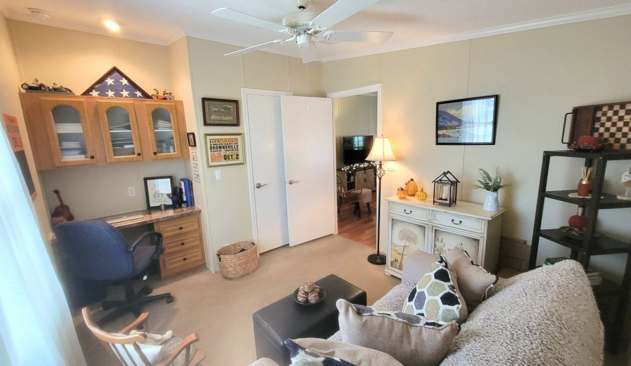 268 Monterey Cypress - sp37