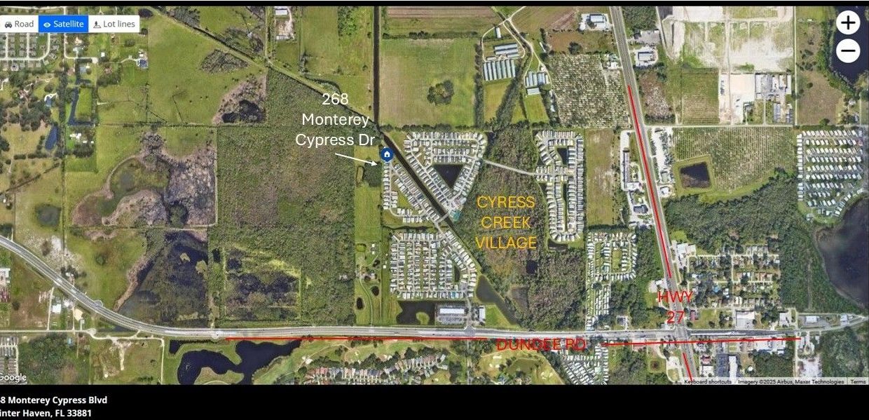 268 Monterey Cypress - sp39