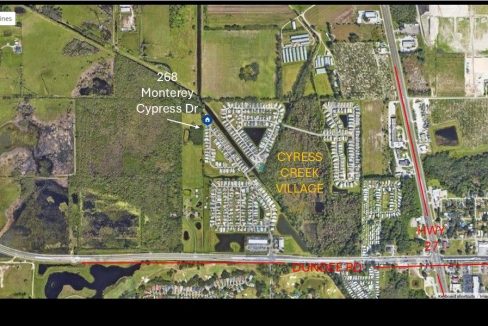 268 Monterey Cypress - sp39