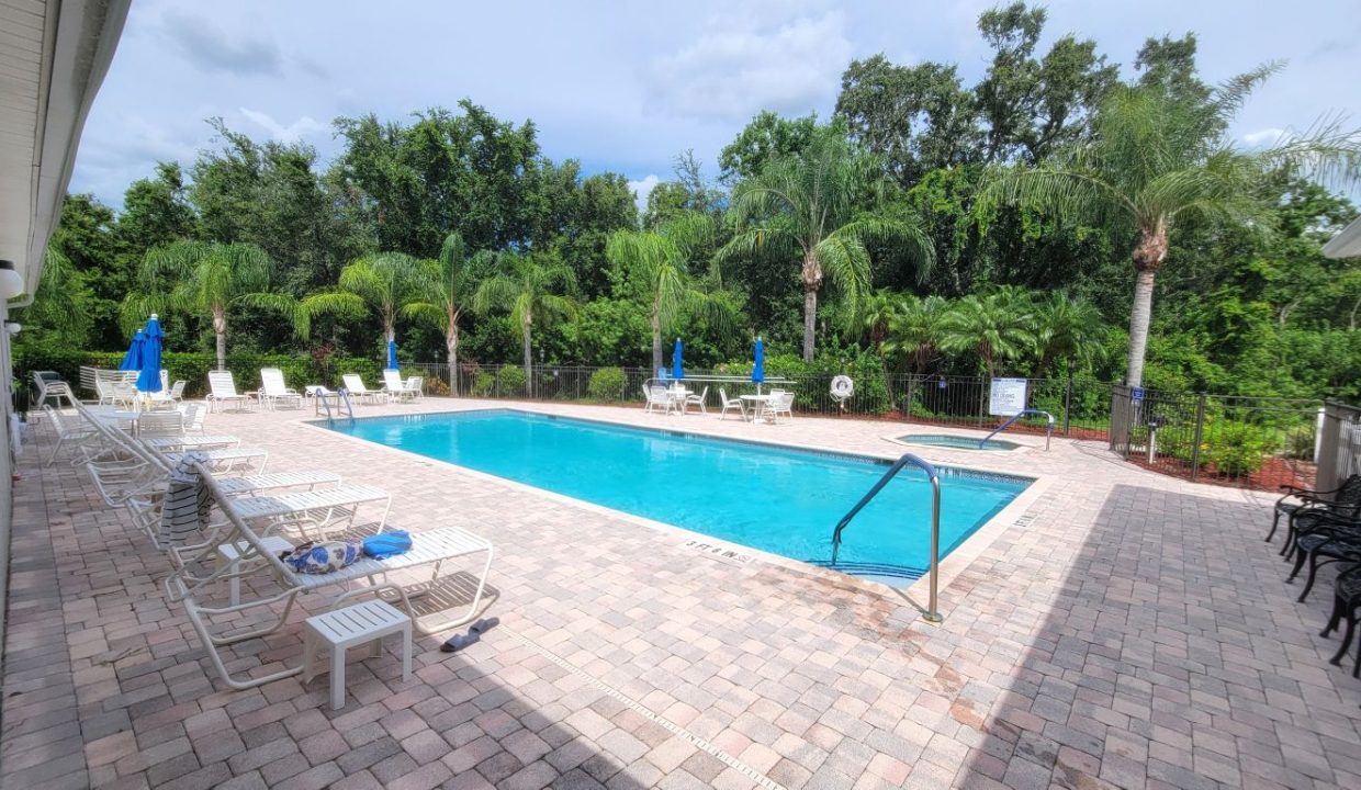 268 Monterey Cypress - sp46