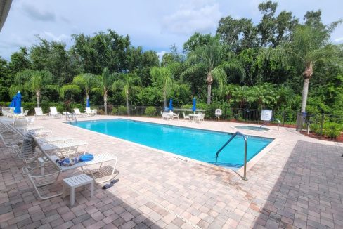 268 Monterey Cypress - sp46