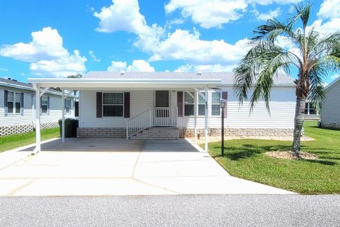 620 Yellow Cypress - sp02