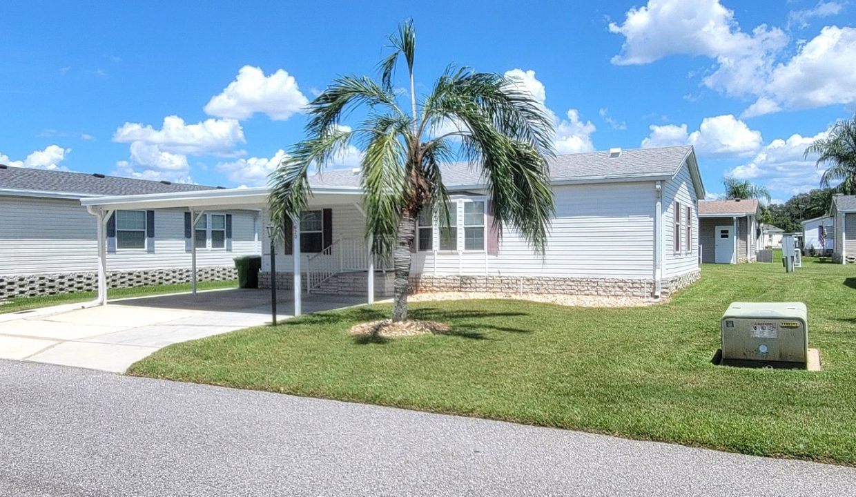 620 Yellow Cypress - sp03
