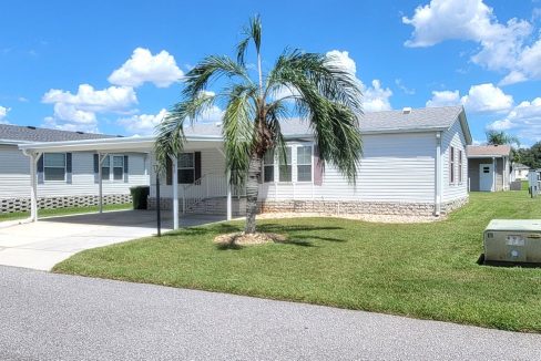 620 Yellow Cypress - sp03