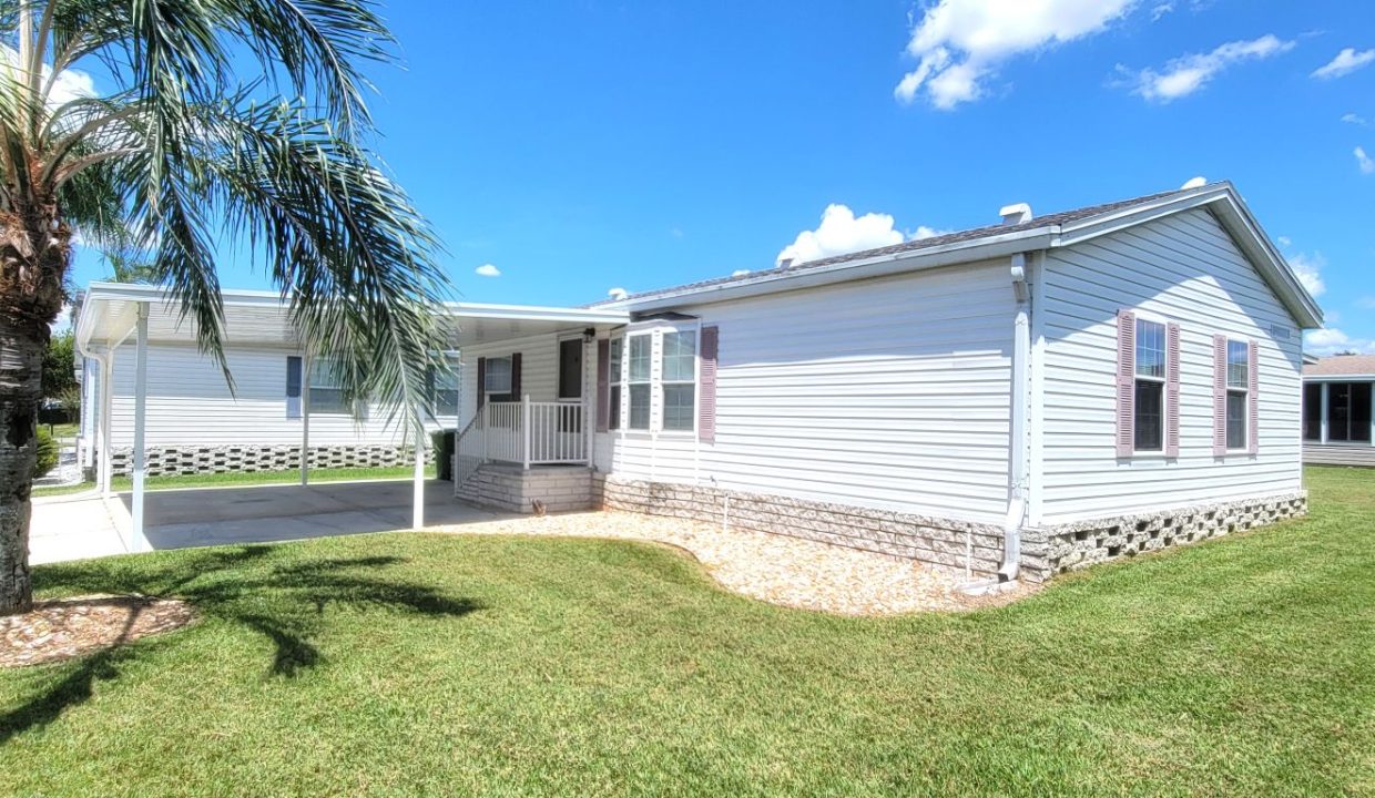 620 Yellow Cypress - sp05