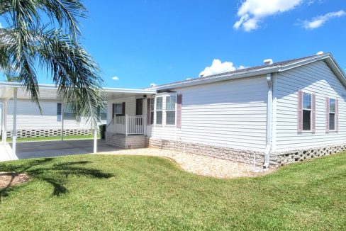 620 Yellow Cypress - sp05