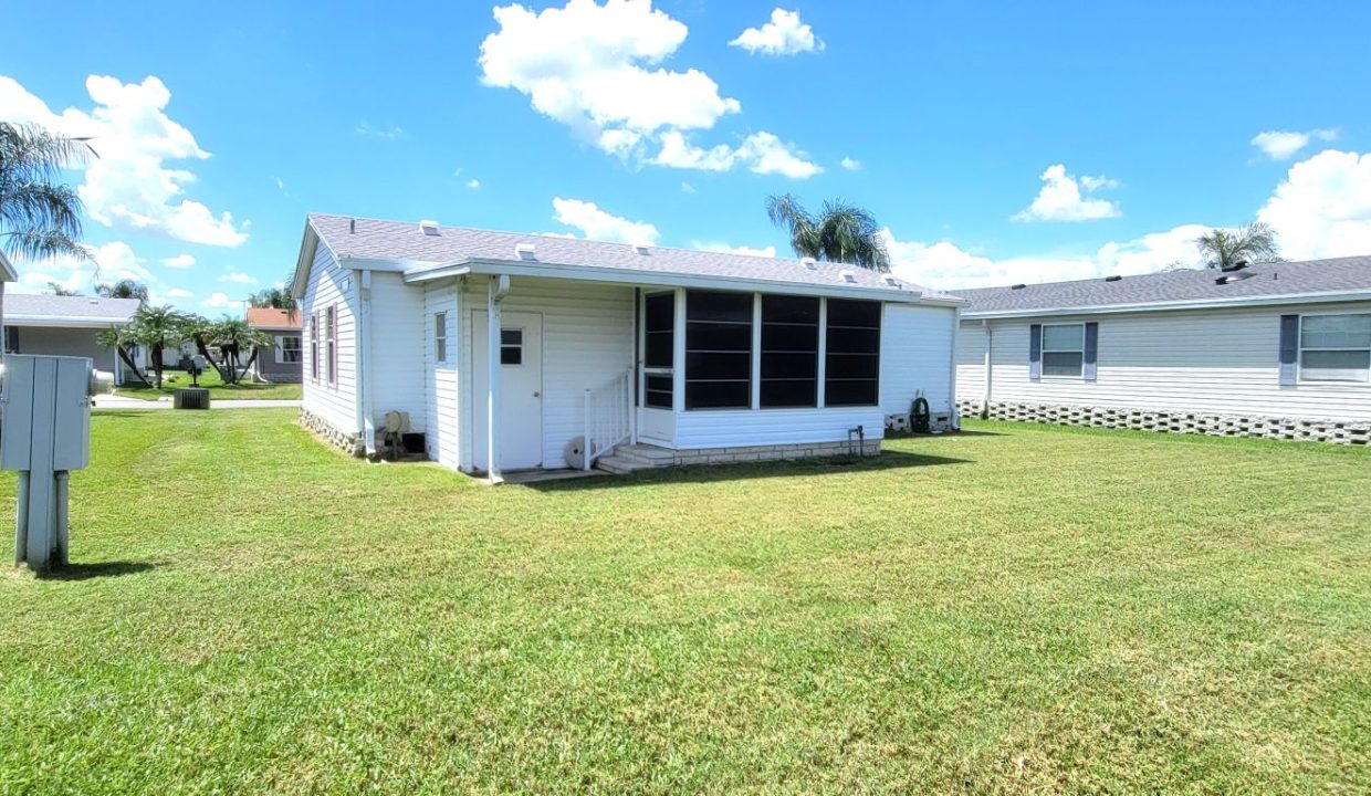 620 Yellow Cypress - sp06